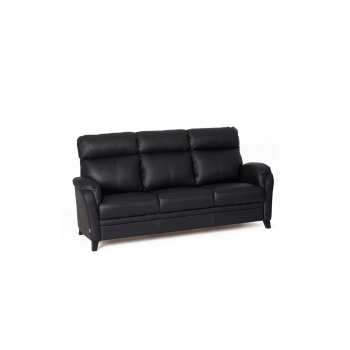 Tempest Sofa (Non-Convertible) (Three-Seater)