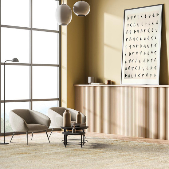 Paklājs TRENDY SHINY 20I